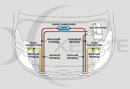 Clip2net_221212104508